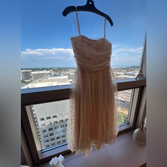 Joanna August mesh star sparkle midi dress - Picture 4 of 10